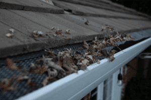 Read more about the article Avoiding The Damage Of Clogged Gutters