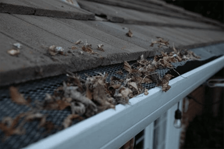 You are currently viewing Avoiding The Damage Of Clogged Gutters