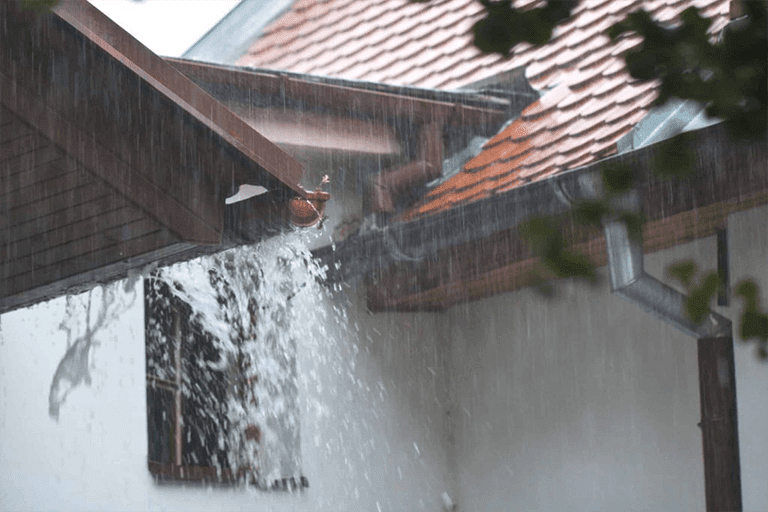 You are currently viewing Best Rainwater Collection System