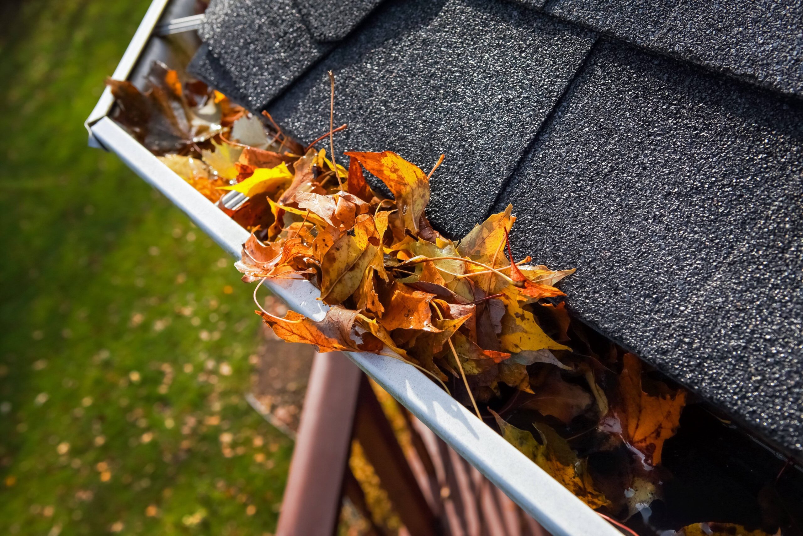 You are currently viewing Why Gutters Clog and How to Prevent It