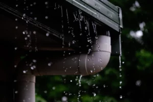 Read more about the article South Carolina Gutters Company: Protecting Your Home from Water Damage