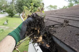 Read more about the article The Hidden Benefits of Regular Gutter Cleaning: Beyond the Basics