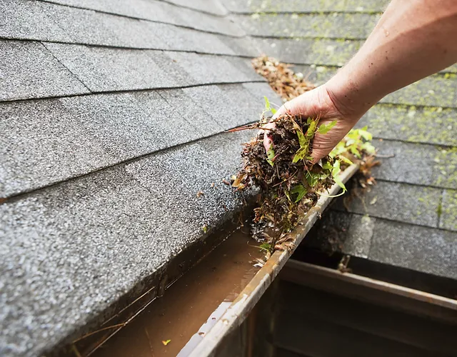 gutter cleaning