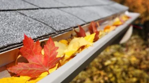 Read more about the article Keep Your Gutters Clear with the Best Gutter Covers in Sunset Beach, NC