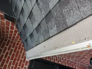 Read more about the article Gutter Woes: Knowing When to Seek Assistance from a South Carolina Gutter Cleaning Company