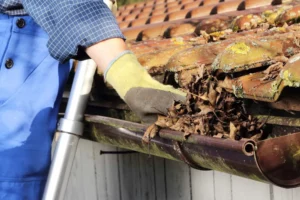 Read more about the article How Blocked Gutters Harm Your Home: The Case for Professional Cleaning and Repair