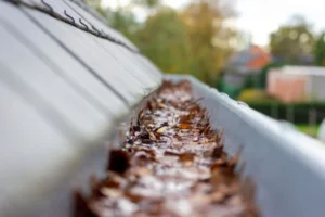 Read more about the article Is It Best to Clean Gutters Before or After Fall Leaves Shed?