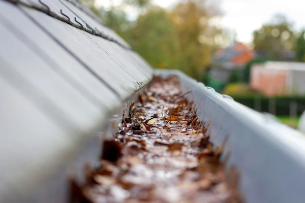 Is It Best to Clean Gutters Before or After Fall Leaves Shed?