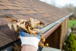 Read more about the article Compelling Reasons to Choose  Professional Gutter Cleaning Services
