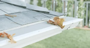 Read more about the article Benefits of Installing a Gutter Leaf Guard to Protect Your Home