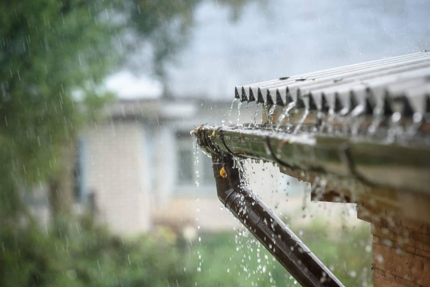 Keep Your Home Safe from Rain and Debris All Year Round